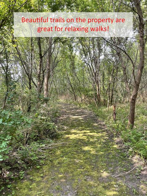 9 N551 Dittman Rd, Elgin, IL 60124 photo 44