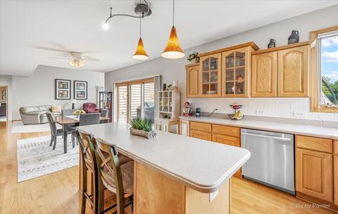 9 N551 Dittman Rd, Elgin, IL 60124 photo 22