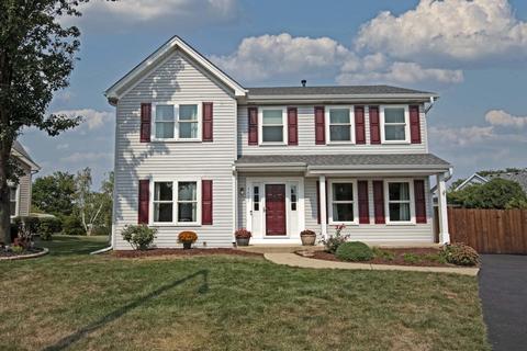 4423 Old Meadow Ct, Plainfield, IL 60586 photo 33