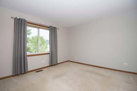 4423 Old Meadow Ct, Plainfield, IL 60586 photo 21