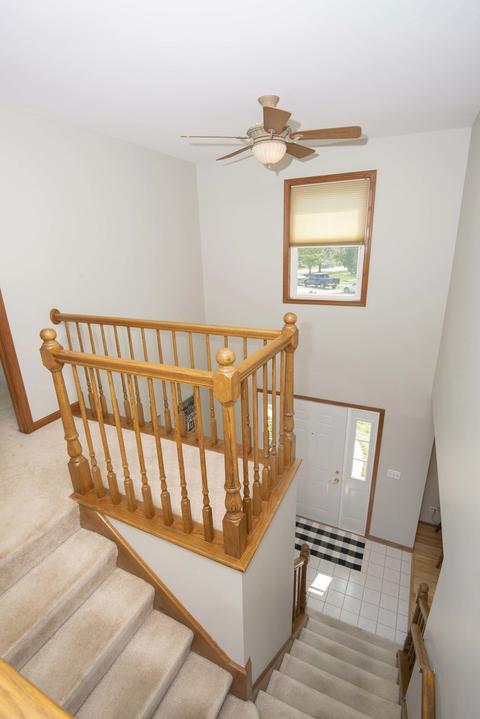 4423 Old Meadow Ct, Plainfield, IL 60586 photo 16