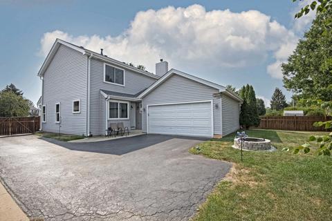 4423 Old Meadow Ct, Plainfield, IL 60586 photo 29