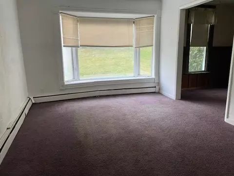 604 Erie St, Spring Valley, IL 61362 photo 5
