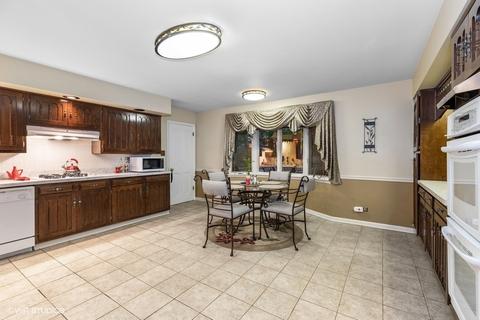 20649 Promethian Way, Olympia Fields, IL 60461 photo 7