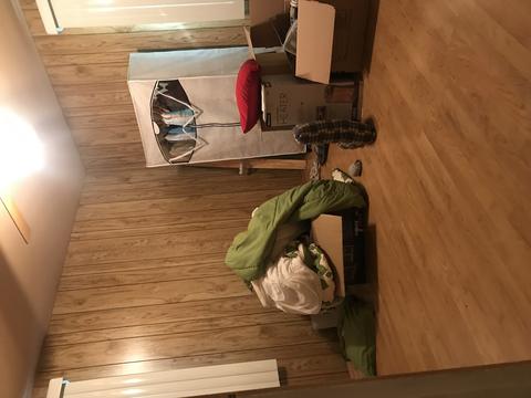 10105 S Forest Ave, Chicago, IL 60628 photo 8