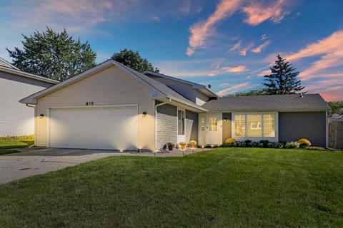 875 Hunter Dr, Roselle, IL 60172 photo 27