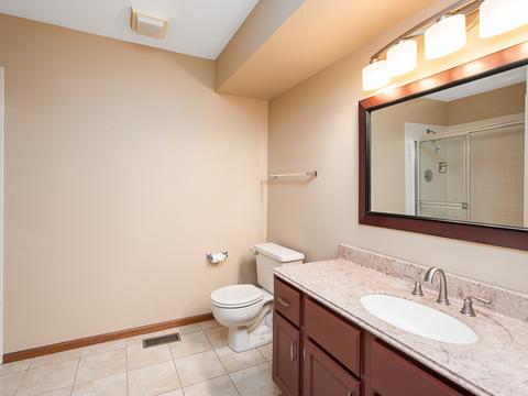 20833 W Hickory Ct, Plainfield, IL 60544 photo 11