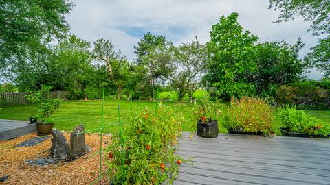 403 Orchard Ln, Beecher, IL 60401 photo 40