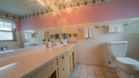 403 Orchard Ln, Beecher, IL 60401 photo 29