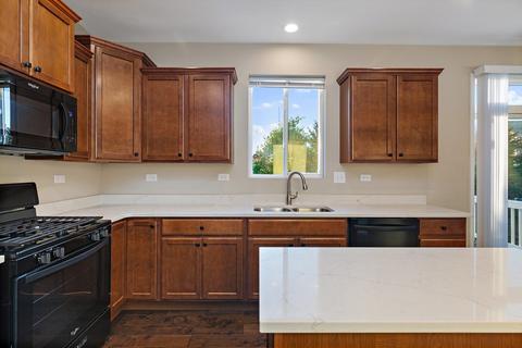 3142 Kyra Ln, Elgin, IL 60124 photo 8
