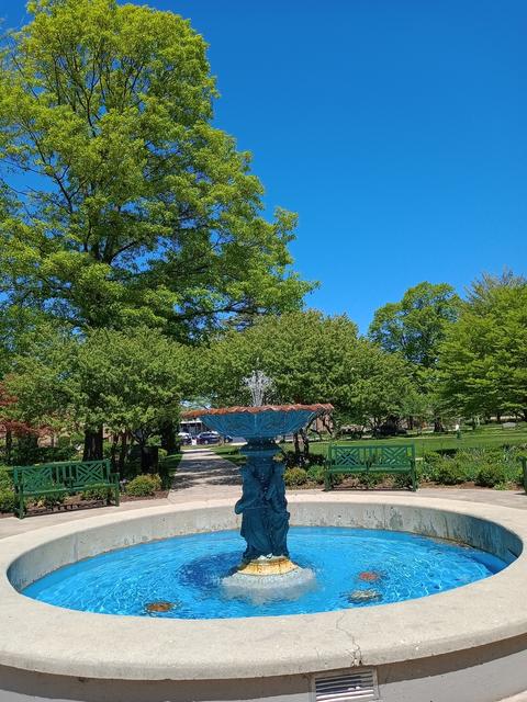 1202 S Washington St, Wheaton, IL 60189 photo 21