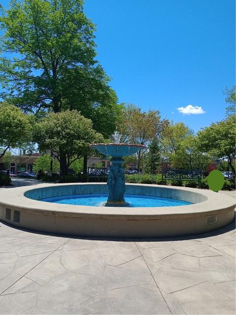 1202 S Washington St, Wheaton, IL 60189 photo 24