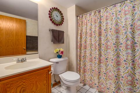 1658 Cayman Ct #4, Bartlett, IL 60103 photo 20