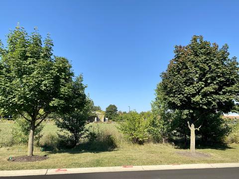 2488 Georgetown Cir, Aurora, IL 60503 photo 9