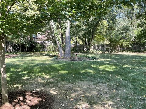 2424 Lisson Rd, Naperville, IL 60565 photo 20