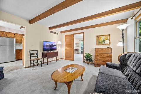2424 Lisson Rd, Naperville, IL 60565 photo 5