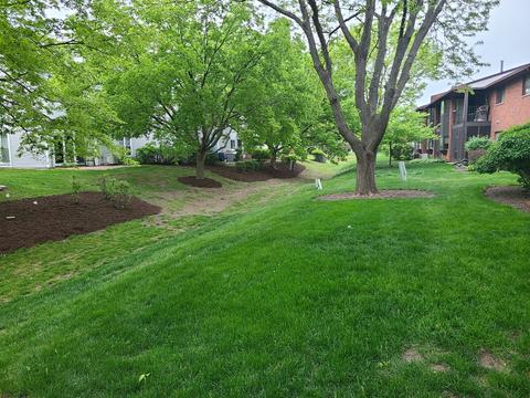 205 Walters Ln #1A, Itasca, IL 60143 photo 17