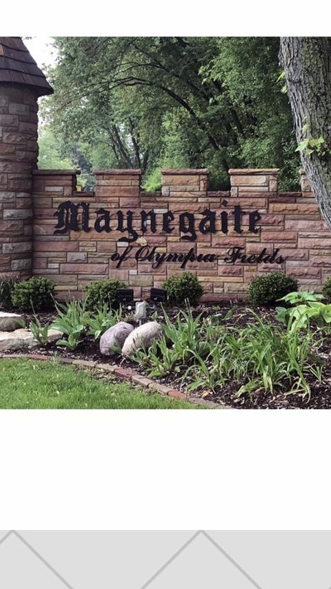 20950 Cambridge Ln, Olympia Fields, IL 60461 photo 32