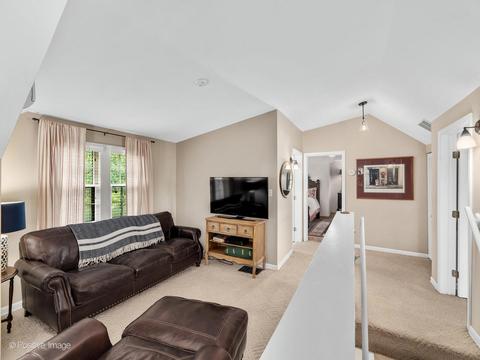 528 E Willow Ave, Wheaton, IL 60187 photo 17