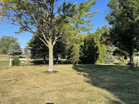 204 Jackson St, Malta, IL 60150 photo 18