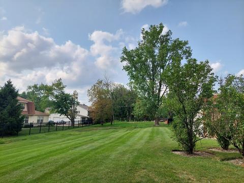 1824 Sessions Walk, Hoffman Estates, IL 60169 photo 17