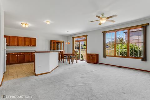 19210 104th Ave, Mokena, IL 60448 photo 5