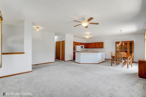 19210 104th Ave, Mokena, IL 60448 photo 4