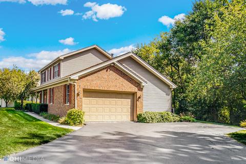 55 Newberry Ct, Elgin, IL 60124 photo 23