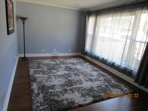 3931 Custer Ave, Lyons, IL 60534 photo 3