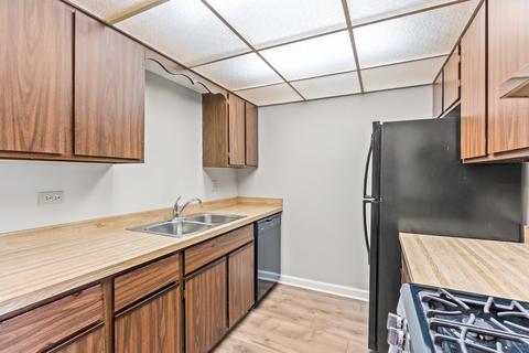 128 E Bailey Rd #M, Naperville, IL 60565 photo 11