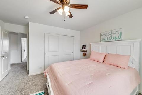 13537 Arborview Cir, Plainfield, IL 60585 photo 25