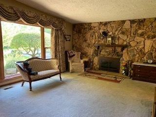 853 Hemlock Dr, Sleepy Hollow, IL 60118 photo 5