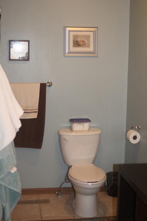 407 A407b Hill St, Mazon, IL 60444 photo 30