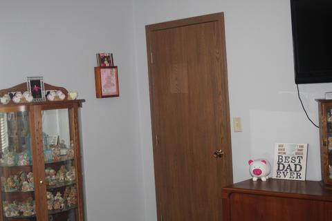 407 A407b Hill St, Mazon, IL 60444 photo 26