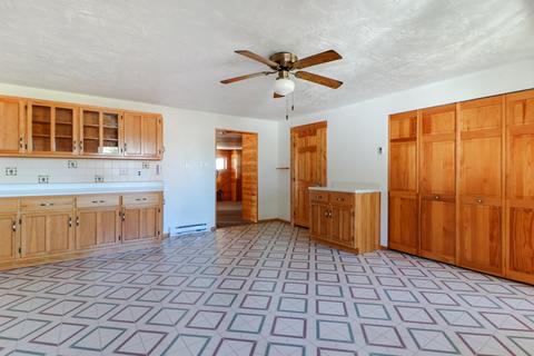 207 Pine St, Delavan, IL 61734 photo 22