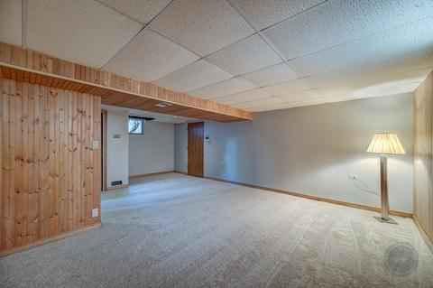 841 Edgewater Dr, Naperville, IL 60540 photo 13