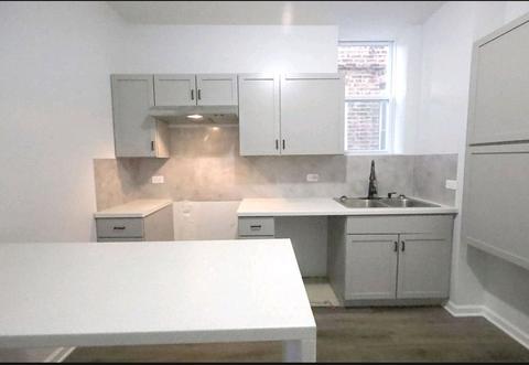 822 E 47th Pl, Chicago, IL 60615 photo 18