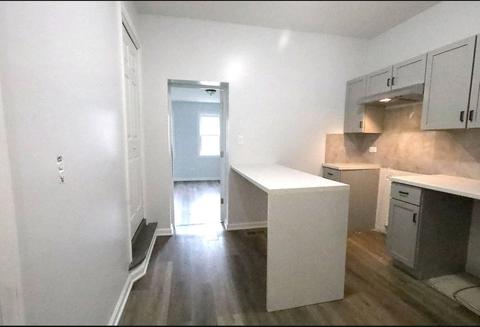 822 E 47th Pl, Chicago, IL 60615 photo 20