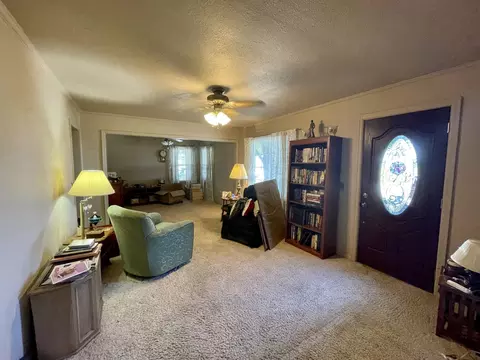 209 W Maple Ave, Manlius, IL 61338 photo 7