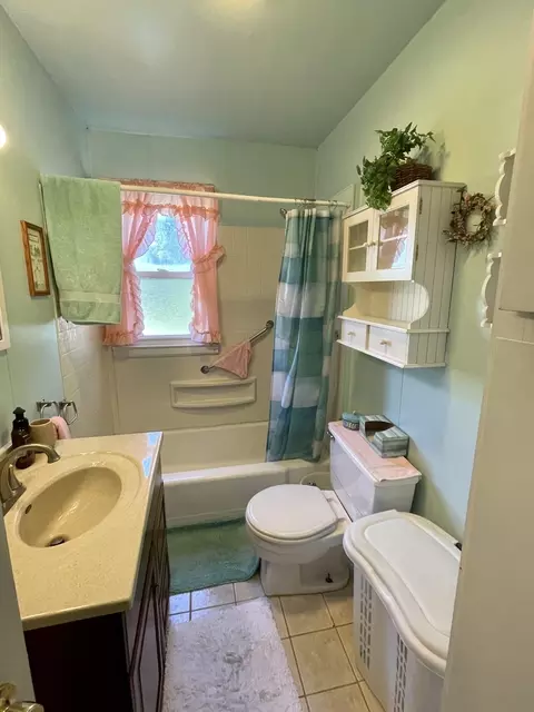 209 W Maple Ave, Manlius, IL 61338 photo 8