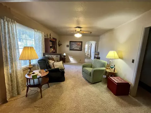 209 W Maple Ave, Manlius, IL 61338 photo 6