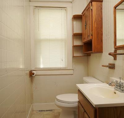 17941 Dewitt Rd, Dewitt, IL 61735 photo 19