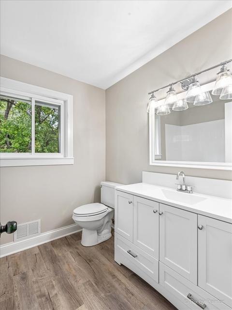 585 E Devon Ave, Roselle, IL 60172 photo 17