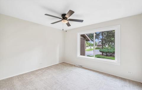 585 E Devon Ave, Roselle, IL 60172 photo 19