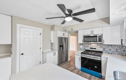 585 E Devon Ave, Roselle, IL 60172 photo 7