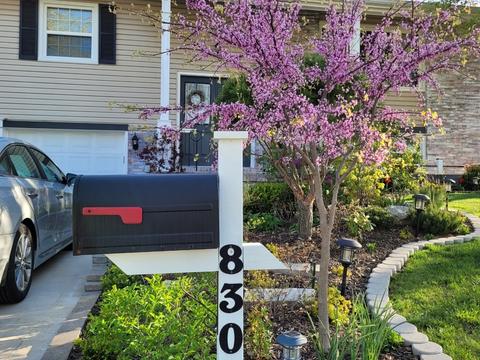 830 Concord Ln, Hoffman Estates, IL 60192 photo 2