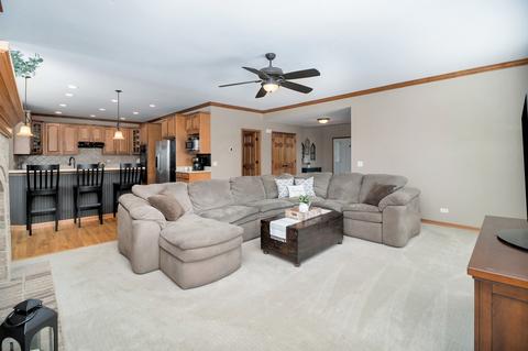 26401 W Red Apple Rd, Plainfield, IL 60585 photo 12