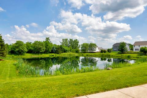 26401 W Red Apple Rd, Plainfield, IL 60585 photo 36