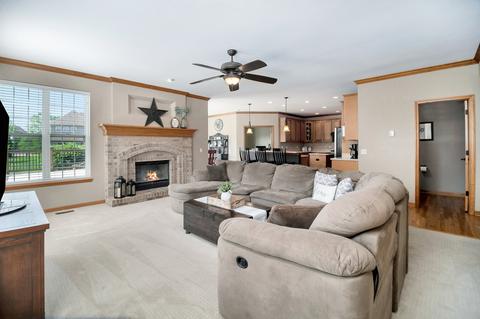 26401 W Red Apple Rd, Plainfield, IL 60585 photo 13