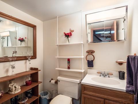 1632 Maple Ln, Elgin, IL 60123 photo 17